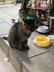 王子神社の動物