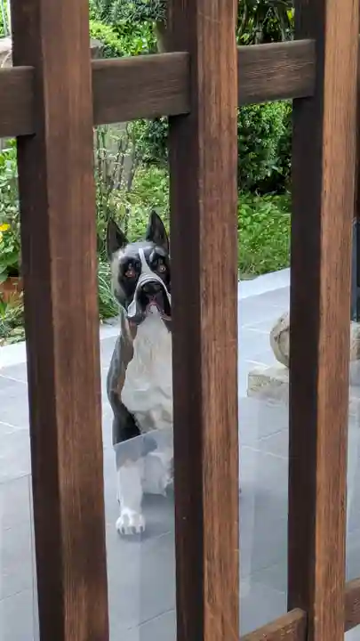 無量寺(大阪府)