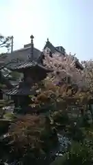 圓通寺の塔