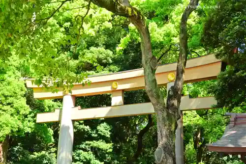 明治神宮(東京都)