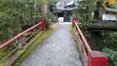 華厳寺(岐阜県)