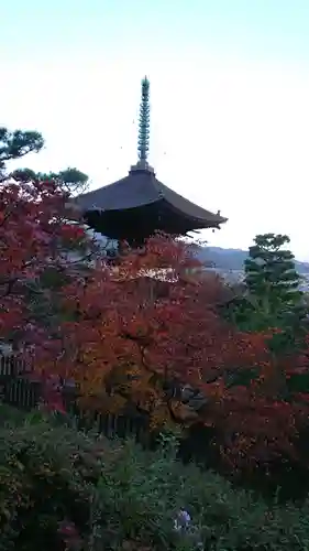 常寂光寺(京都府)
