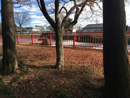 大前神社の自然