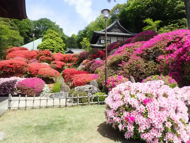 等覚院の御朱印