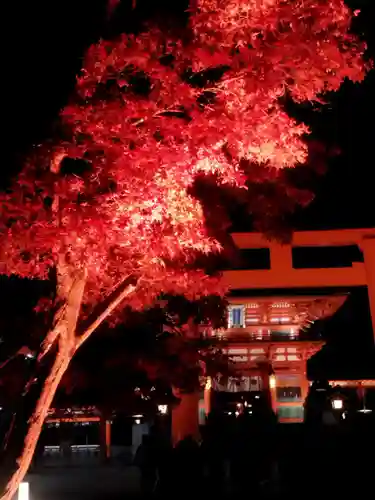 伏見稲荷大社(京都府)