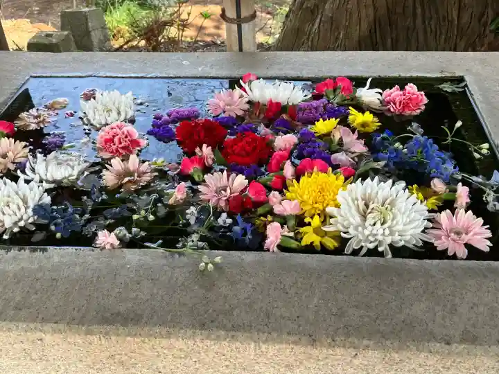 糀谷八幡宮の{uncategorized: "未分類", other: "その他", undefined: "問題あり", building: "その他建物", grave: "お墓", sacred_gate: "鳥居", guardian: "狛犬", statue: "像", buddha: "仏像", history: "歴史", nature: "自然", garden: "庭園", animal: "動物", pagoda: "塔", temizu: "手水舎", mountain_gate: "山門・神門", sanctuary: "本殿・本堂", subordinate: "末社・摂社", art: "芸術", scenery: "景色", jizo: "地蔵", ema: "絵馬", goshuin: "御朱印", omikuji: "おみくじ", items: "授与品その他", amulet: "お守り", goshuincho: "御朱印帳", eats: "食事", festival: "お祭り", votive_dance: "神楽", shichigosan: "七五三参", wedding: "結婚式", experience: "体験その他", initially: "初詣", around: "周辺", anti_infection: "感染症対策"}