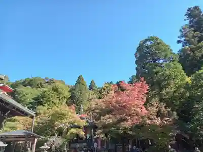今熊野観音寺(京都府)