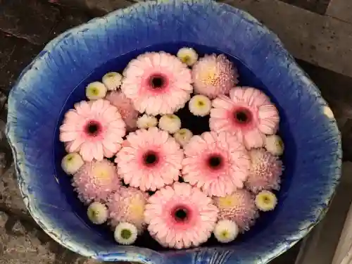 川越八幡宮(埼玉県)