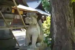 蠶養國神社の狛犬