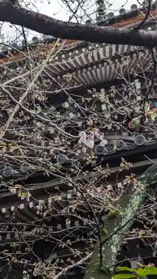 本法寺(京都府)