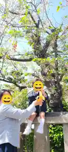 厄除の宮 駒林神社(兵庫県)(2023年04月15日(土) 20時46分52秒投稿)