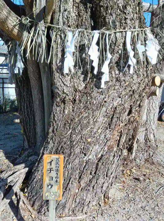 八大龍王辨財天(京都府)