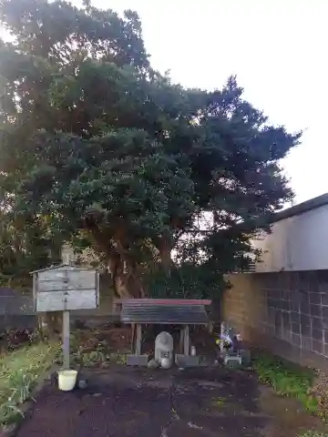 じゃらんぼ遺跡のその他建物