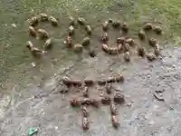 比々多神社(神奈川県)