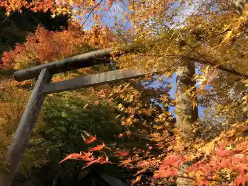 多治神社の鳥居