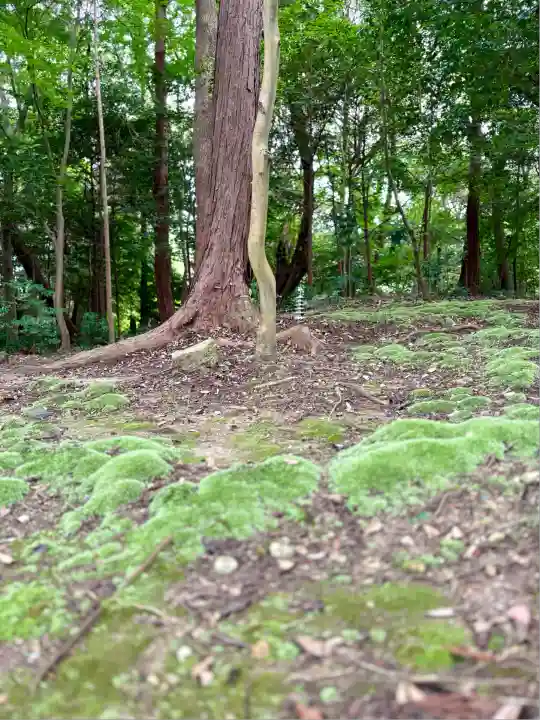 鎌田神明宮(静岡県)