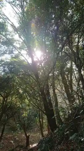 白山神社の周辺