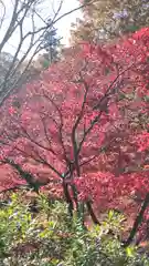 湯神社(彌彦神社末社)(新潟県)