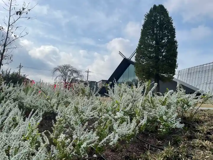 武蔵野坐令和神社の自然