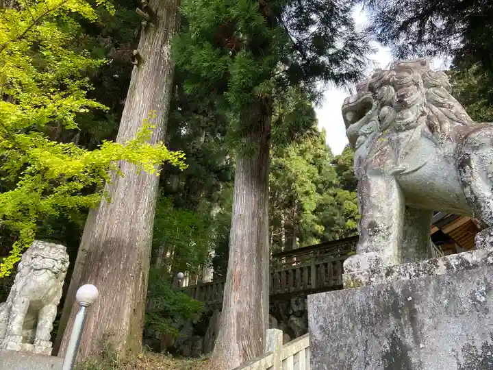高賀神社(岐阜県)