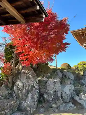 聖天院(埼玉県)