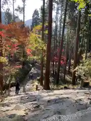 高山寺の建物その他