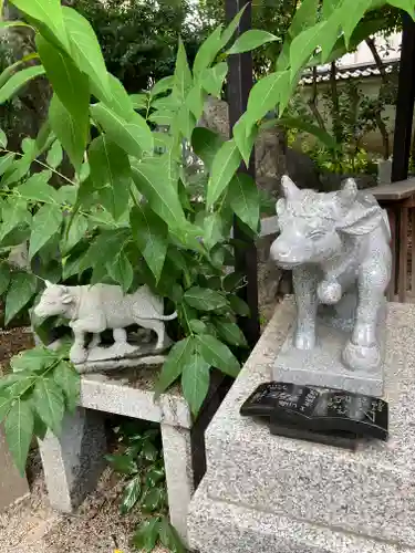 白峯神宮(京都府)