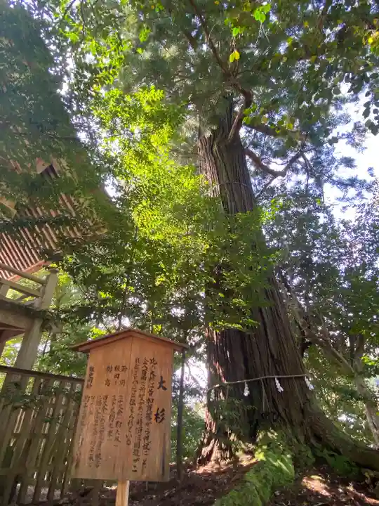 須佐神社(島根県)