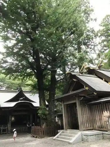 天岩戸神社のその他建物