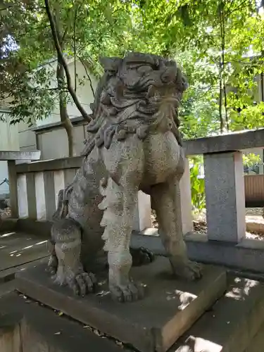 渋谷氷川神社の狛犬