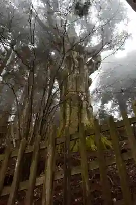 玉置神社(奈良県)
