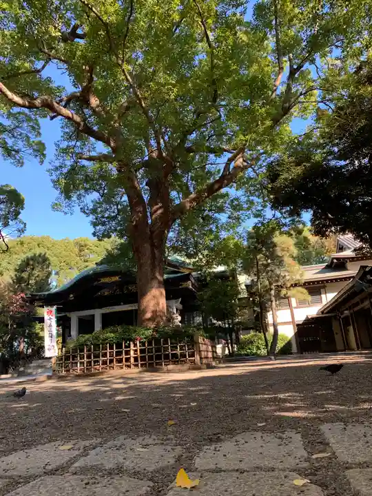 王子神社の自然