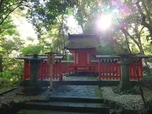 宇佐神宮(大分県)