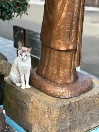 吾平津神社の動物