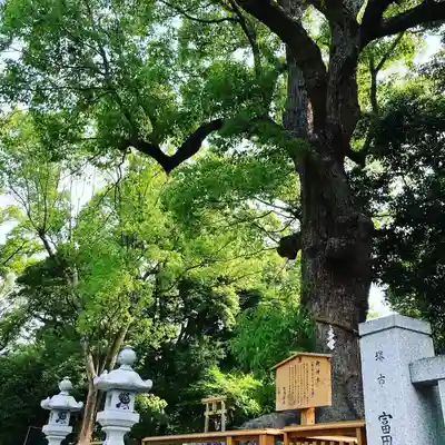 和泉國一之宮　大鳥大社のその他建物