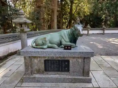 金剛證寺の狛犬