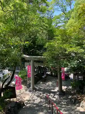 大山祇神社の鳥居