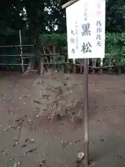 峯ヶ岡八幡神社の自然