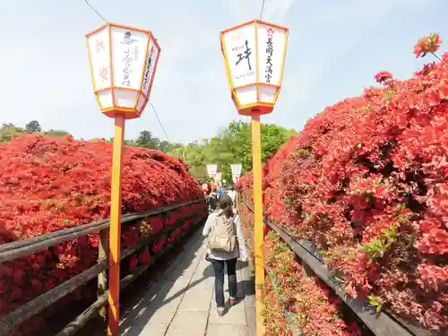 長岡天満宮の庭園