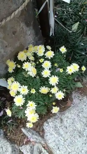 下神明天祖神社(東京都)