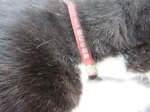 智恩寺(京都府)