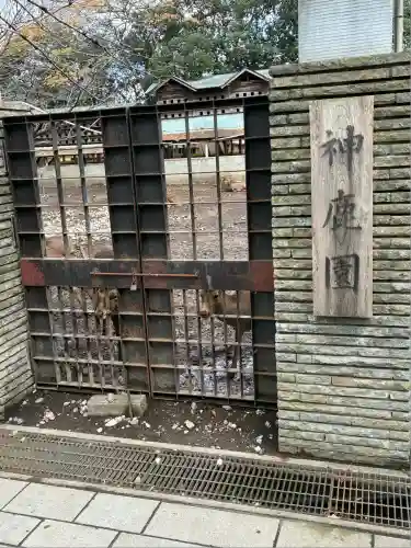 三嶋大社(静岡県)