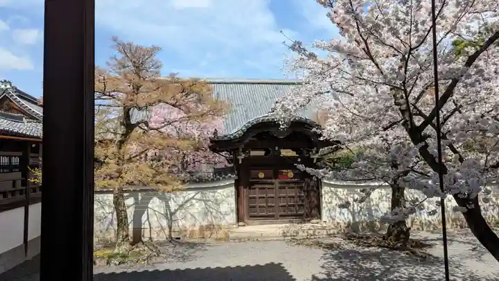 妙顯寺(妙顕寺)(京都府)