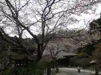 妙本寺の自然