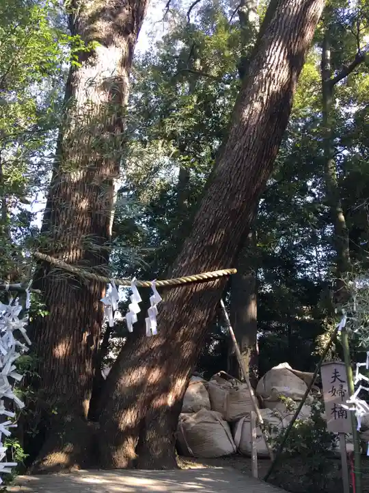 武蔵一宮氷川神社の自然