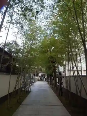 圓應寺(福岡県)