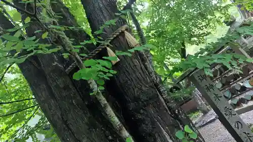 梨木神社(京都府)