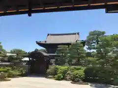 建仁寺（建仁禅寺）の庭園