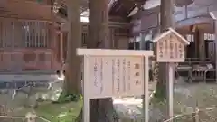 白山比咩神社の歴史