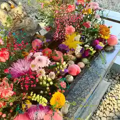 滑川神社 - 仕事と子どもの守り神の手水